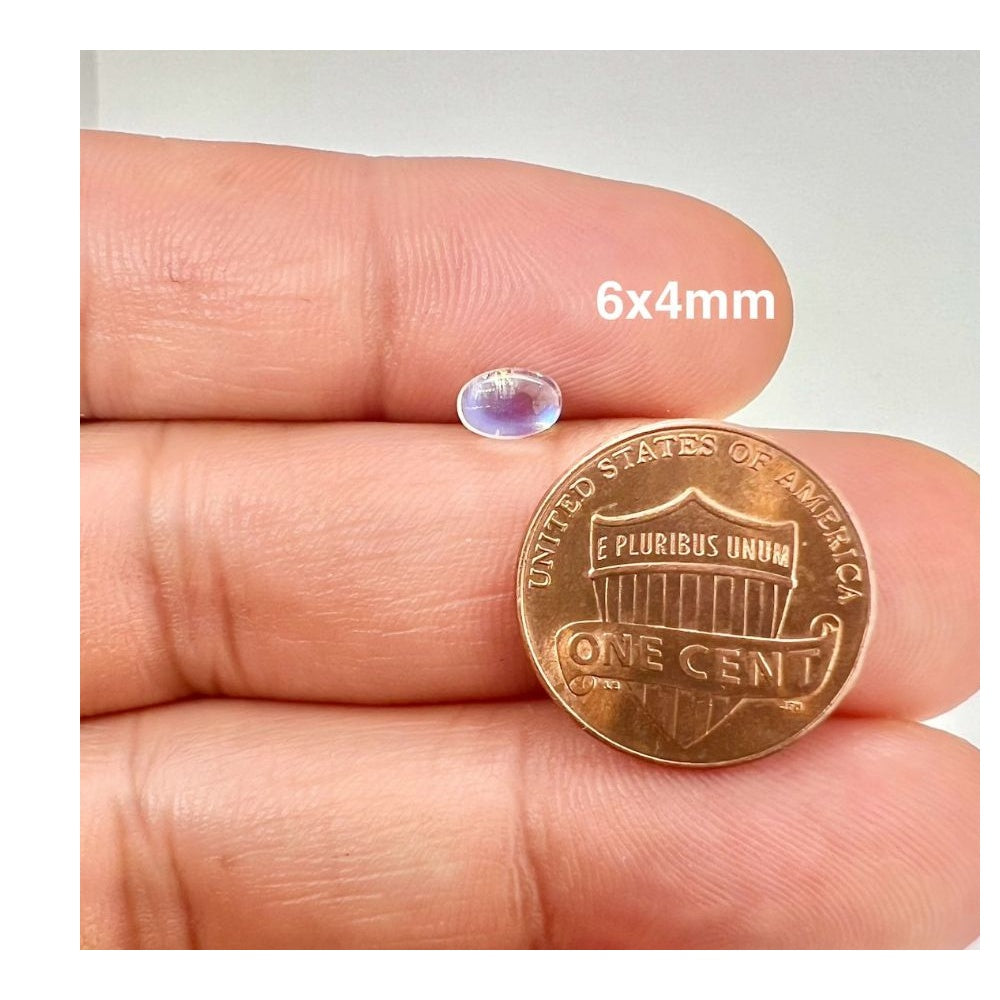 6x4MM
