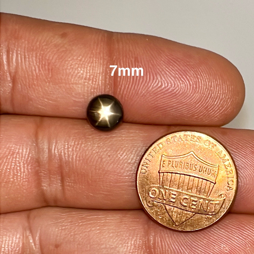 Natural Round Calibrated Cabochon Loose Black Star Sapphire