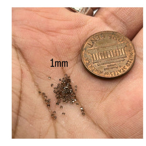 1mm