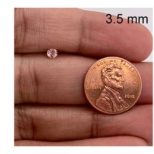 3.5 MM