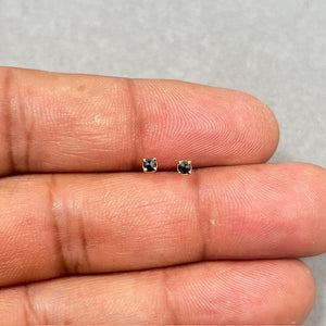 AAA round rose cut black diamond stud earrings set in solid 14K yellow gold with four prong settings. Each stud features a 2.50–3.00 mm black diamond totaling 0.09–0.12 carats, finished with secure push back closures. 