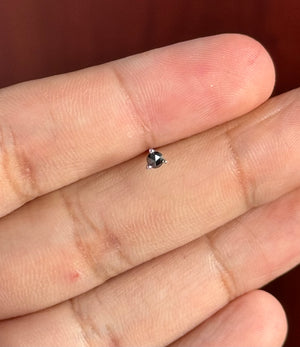 1/9 Ct Black Diamond Men's Stud Earrings 2.5-3mm AAA Round Rose Cut 14K Blackened White Gold
