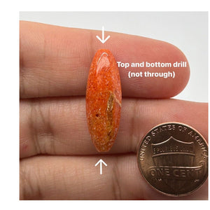 Red Coral Marquise Cabochon Shape 25x19mm, Top and Bottom Drill (Not Through) AAA Quality