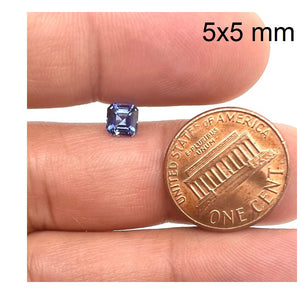 5MM