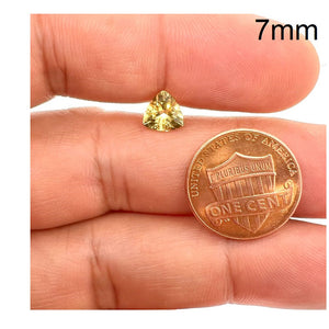 7mm