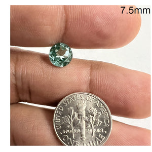 7MM
