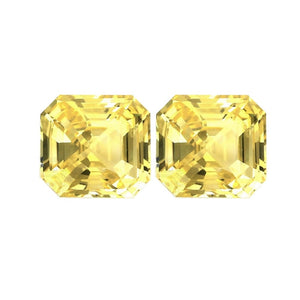 6 MM