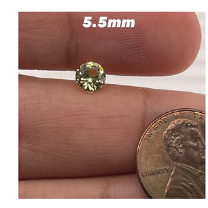 5.5MM
