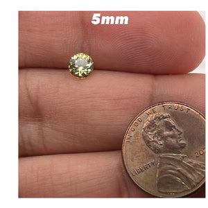 5MM