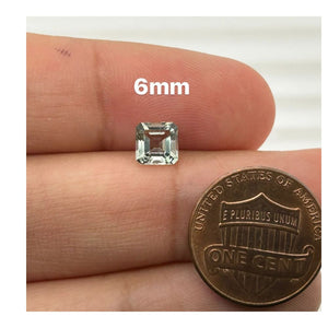 6 MM