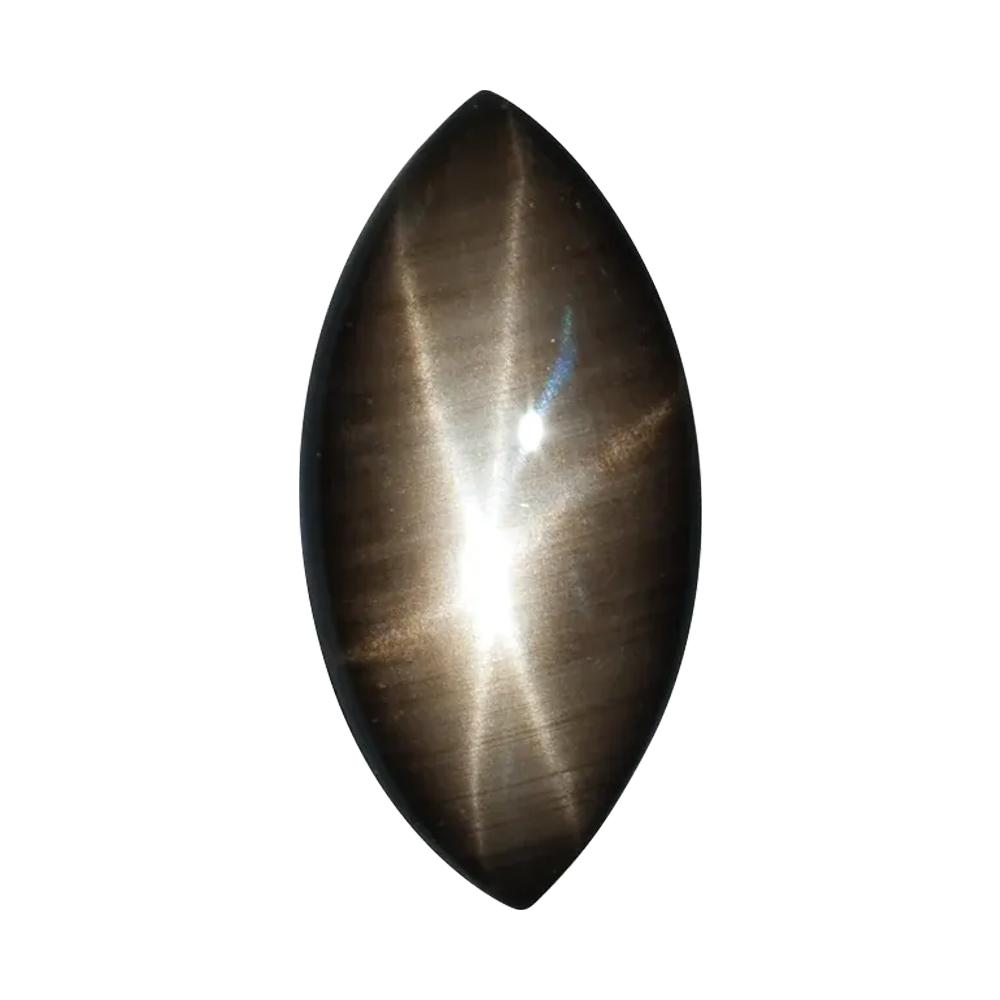 Natural Marquise Cabochon Loose Black Star Sapphire