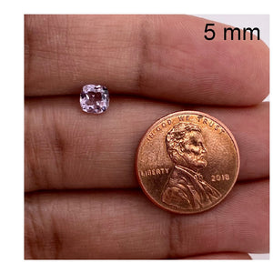 5 MM